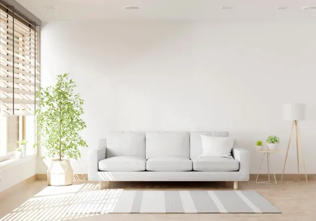 Sofa living room with copy space
