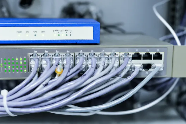 Network switch with cables (2)